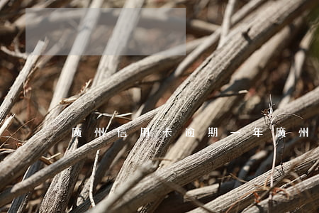 廣州信用卡逾期一年(廣州信用卡逾期一年多)