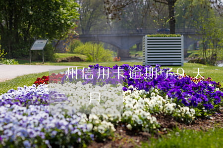 廣州信用卡逾期了9天(廣州銀行信用卡逾期三個月)