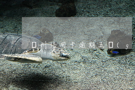 廣州信用卡逾期五個(gè)月
