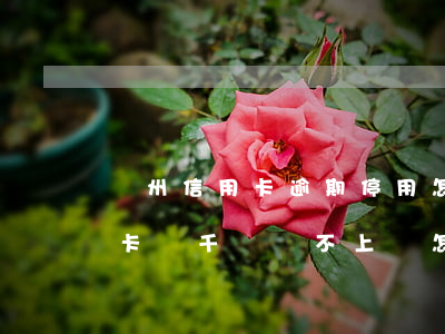 廣州信用卡逾期停用怎么辦(欠廣州銀行信用卡幾千塊還不上會怎么樣)