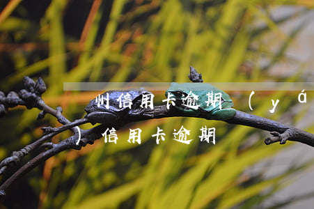 廣州信用卡逾期嚴(yán)嗎(廣發(fā) 信用卡 逾期)