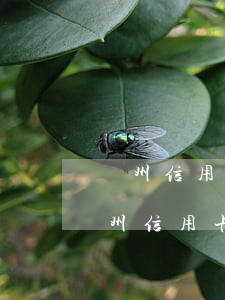 廣州信用卡逾期多久會(huì)被起訴(廣州信用卡逾期一天有影響嗎)