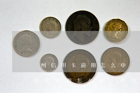 廣州信用卡逾期怎么申請停息掛賬-廣州信用卡逾期怎么申請停息掛賬的