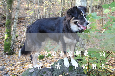 廣州信用卡逾期最壞的結(jié)果是什么(什么情況下信用卡會(huì)被認(rèn)為嚴(yán)重逾期)