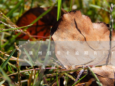 廣州信用卡逾期負(fù)債減免二次分期-廣州信用卡逾期負(fù)債減免二次分期還款