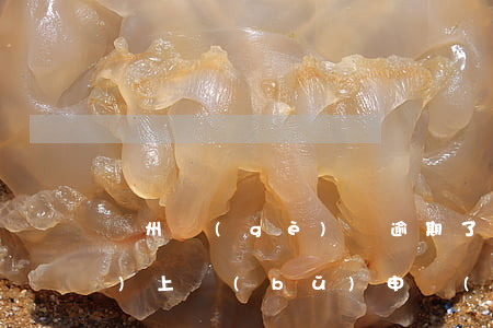 廣州個(gè)稅逾期了可以網(wǎng)上補(bǔ)申報(bào)嗎-廣州個(gè)稅逾期了,可以網(wǎng)上補(bǔ)申報(bào)嗎