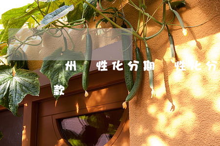 廣州個性化分期(個性化分期辦理成功怎么還款)