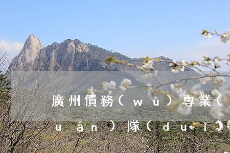 廣州債務(wù)專業(yè)律師團(tuán)隊(duì)(廣州債務(wù)公司哪個(gè)好)