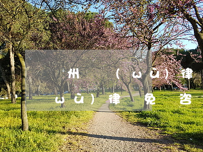 廣州債務(wù)律師怎么收費(廣州債務(wù)律師免費咨詢問題)