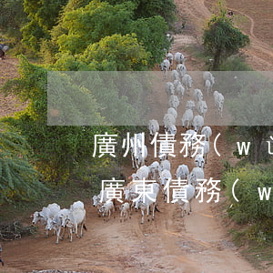 廣州債務(wù)追討律師事務(wù)所（廣東債務(wù)人律師）