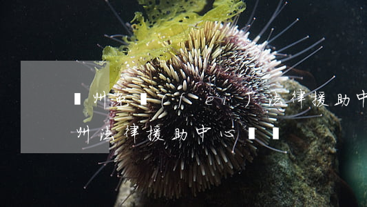 廣州免費(fèi)法律援助中心在哪里(廣州法律援助中心電話)