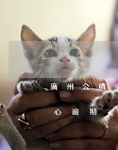 廣州公積金貸款信用卡逾期(公積金貸款不小心逾期)
