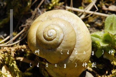 廣州勞動(dòng)仲裁糾紛(廣州市勞動(dòng)仲裁)
