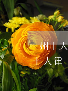 廣州十大律師事務(wù)所排名(廣東廣州十大律師事務(wù)所排名)
