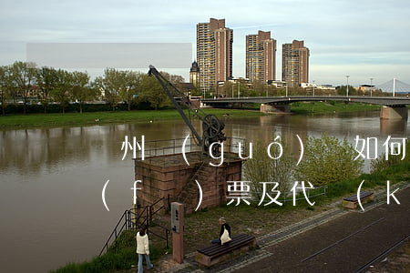 廣州國(guó)稅如何申購(gòu)發(fā)票及代開(kāi)發(fā)票