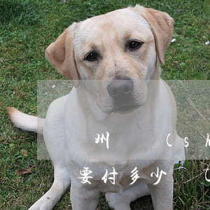 廣州圖書(shū)館逾期一個(gè)月要付多少錢(qián) 廣州圖書(shū)館逾期費(fèi)不繳費(fèi)有什么影響