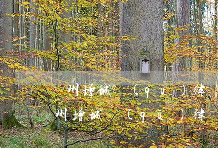 廣州增城區(qū)律師事務(wù)所(廣州增城區(qū)律師事務(wù)所)