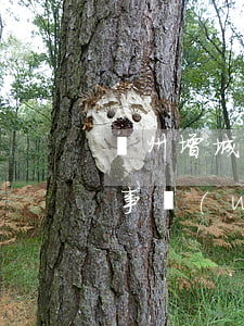 廣州增城律師事務(wù)所(廣州增城律師事務(wù)所民事)
