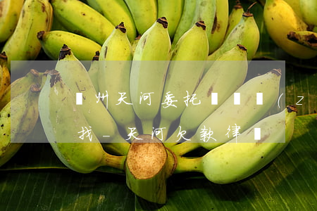 廣州天河委托債務執(zhí)行律師哪里找-天河欠款律師
