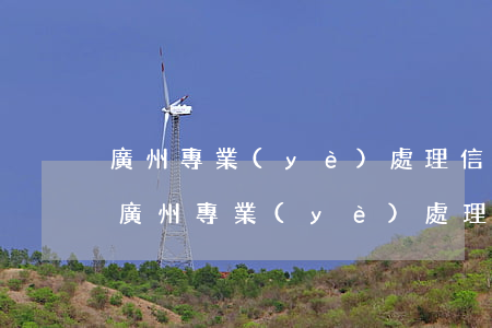 廣州專業(yè)處理信用卡逾期無力償還(廣州專業(yè)處理信用卡逾期無力償還)