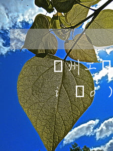 廣州工傷律師(廣州工傷律師費用收取標(biāo)準(zhǔn))
