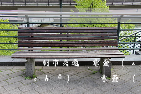 廣州市交通違章查詢(xún)(廣州市車(chē)輛違章查詢(xún))