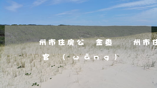 廣州市住房公積金查詢(廣州市住房公積金查詢官網(wǎng))