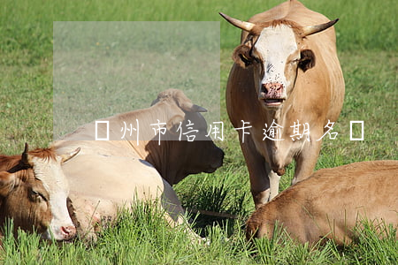 廣州市信用卡逾期名單