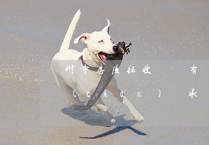 廣州市房屋征收還沒有辦繼承怎么辦(廣州房產(chǎn)繼承稅費(fèi)最新規(guī)定)