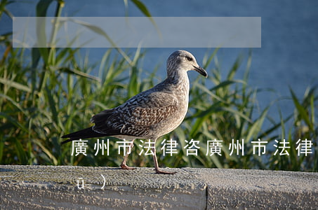 廣州市法律咨(廣州市法律咨詢師海珠區(qū))