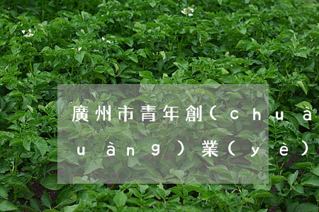 廣州市青年創(chuàng)新創(chuàng)業(yè)促進條例2023最新版【全文】