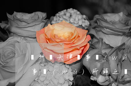 廣州廣大律師事務(wù)所(廣州廣大律師事務(wù)所薛之華)