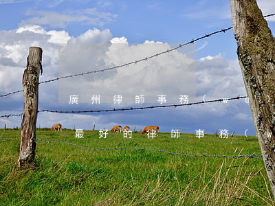 廣州律師事務(wù)所排名前十名(廣州市最好的律師事務(wù)所是哪一家)
