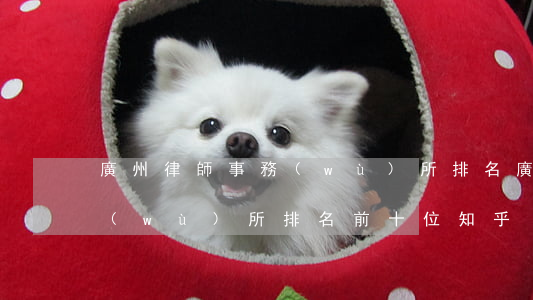 廣州律師事務(wù)所排名(廣州律師事務(wù)所排名前十位知乎)