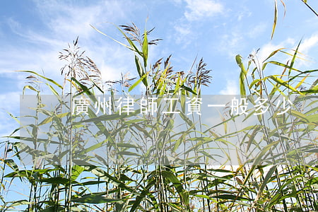 廣州律師工資一般多少