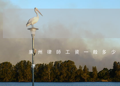 廣州律師工資一般多少(廣州律師費用收取標準)