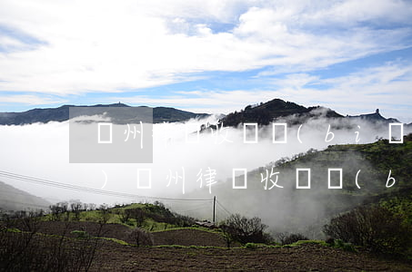 廣州律師收費標(biāo)準(zhǔn)(廣州律師收費標(biāo)準(zhǔn)刑事)