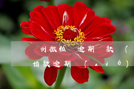 廣州微粒貸逾期還款協(xié)商 微粒貸借款逾期協(xié)商