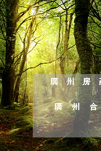 廣州房產(chǎn)糾紛律師可以起訴嗎(廣州合同糾紛比較好的律師事務(wù)所)