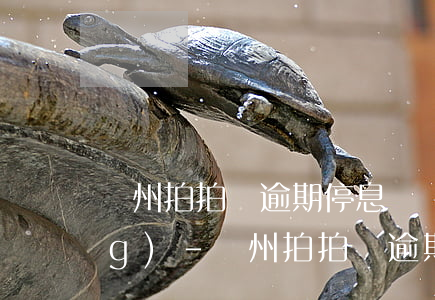 廣州拍拍貸逾期停息掛賬怎么申請(qǐng)-廣州拍拍貸逾期停息掛賬怎么申請(qǐng)的