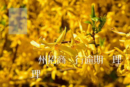 廣州招商銀行逾期處理(廣州招商銀行逾期處理)