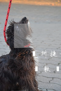 廣州捷信貸款業(yè)務員招聘(廣州捷信貸款業(yè)務員招聘)