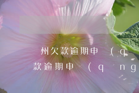 廣州欠款逾期申請(qǐng)條件(廣州欠款逾期申請(qǐng)條件是什么)