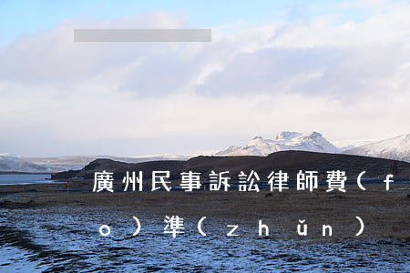 廣州民事訴訟律師費(fèi)標(biāo)準(zhǔn)