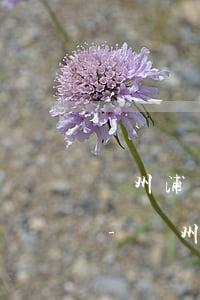廣州浦發(fā)銀行卡片逾期多久被起訴-廣州浦發(fā)銀行卡片逾期多久被起訴了