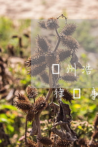 廣州浩天信和律師事務(wù)所(浩天信和律師事務(wù)所)