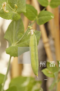 廣州番禺債權(quán)債務(wù)律師-廣州債務(wù)糾紛律師事務(wù)所排名如何