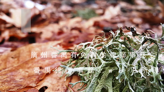 廣州番禺有免費的律師事務(wù)所(廣州番禺律師事務(wù)所哪個好)