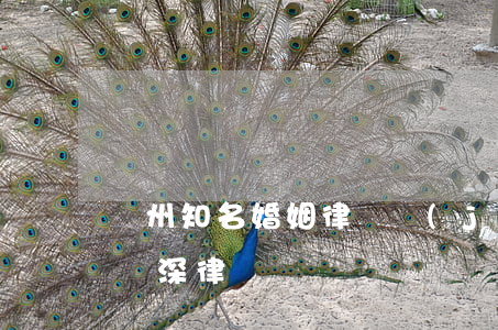 廣州知名婚姻律師價(jià)格(廣州婚姻資深律師)