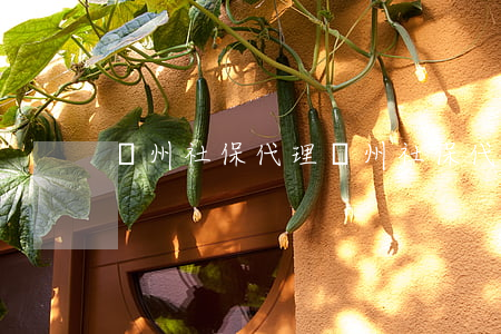 廣州社保代理(廣州社保代理公司在哪里)